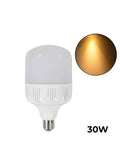 LED Bulb 30W Warm Light E27