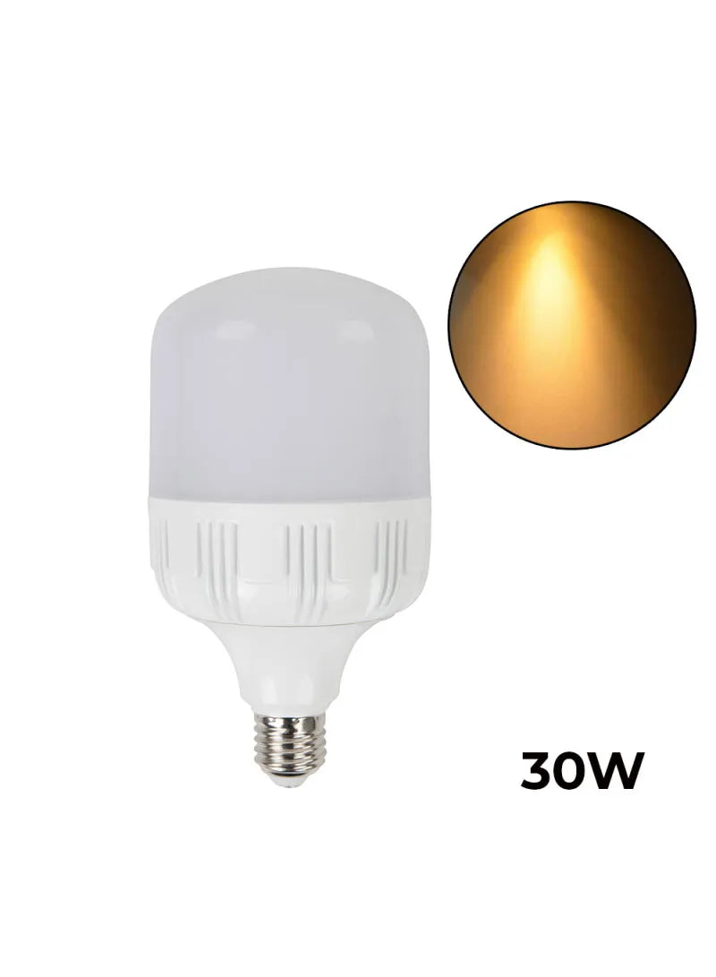 LED Bulb 30W Warm Light E27